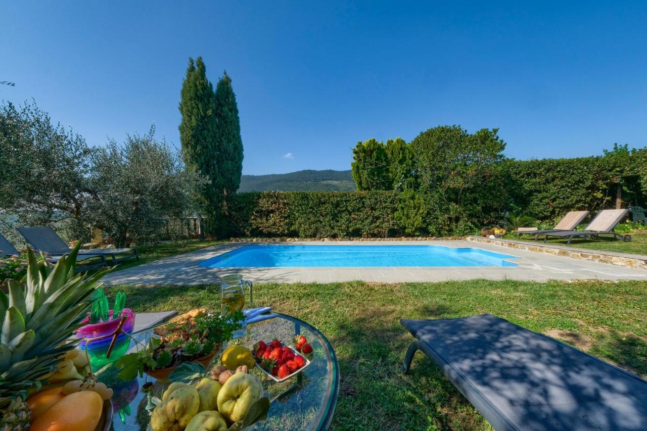 Villa Maria - In The Hills Above Florence Castiglione  Екстериор снимка