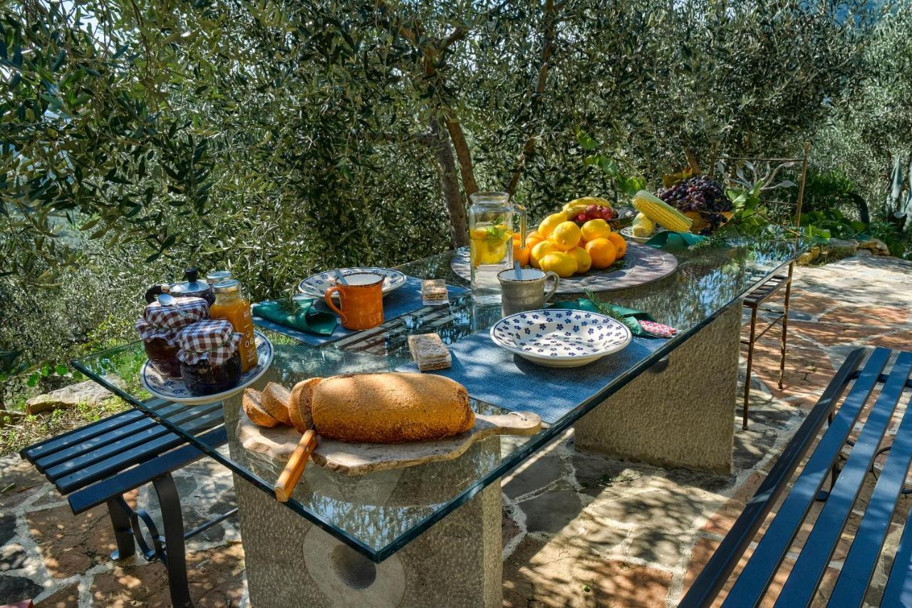 Villa Maria - In The Hills Above Florence Castiglione  Екстериор снимка